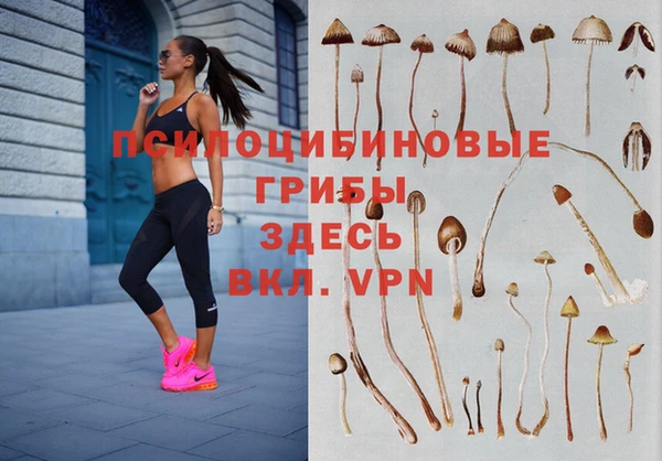 эйфоретик Белоозёрский