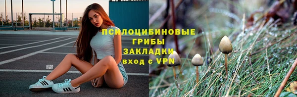 гашик Балахна